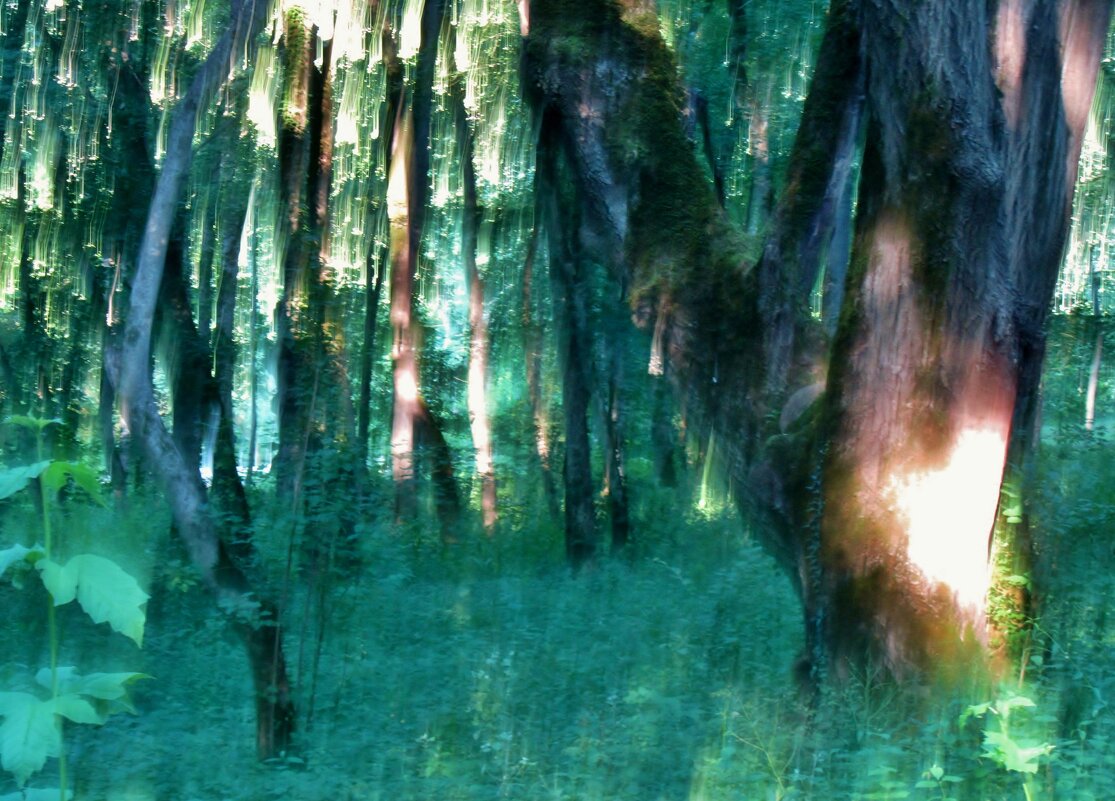 .. сказочный лес в парке санатория Лаго-Наки.. - galalog galalog