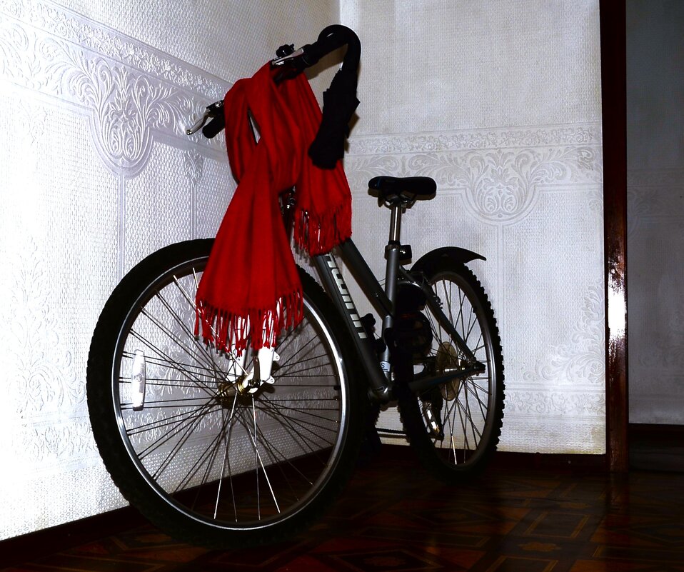 Готов к осенней непогоде. - Василий Палий