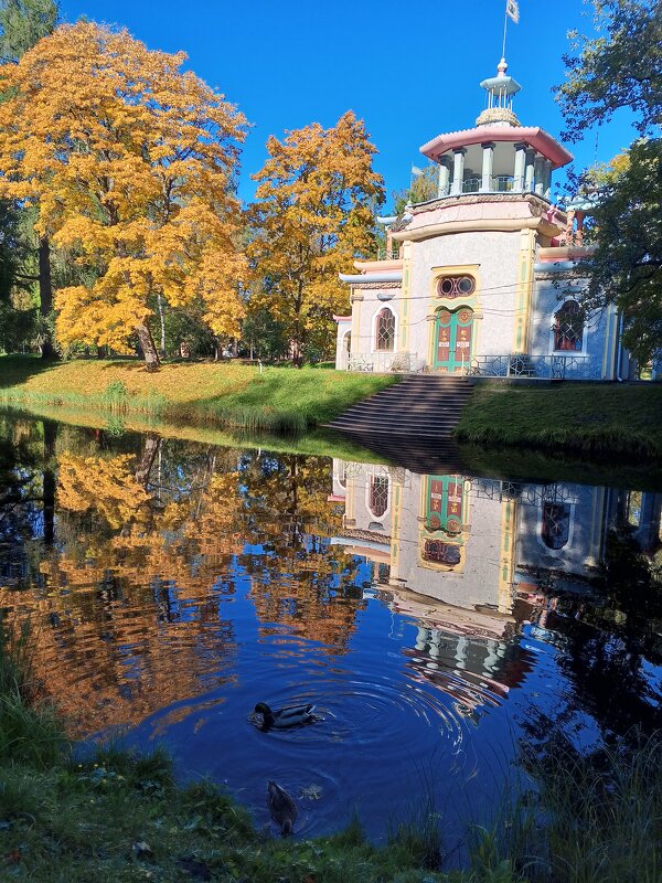 Осень - Сапсан 