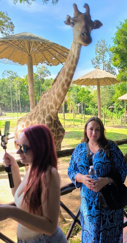 У жирафа... - Георгиевич 