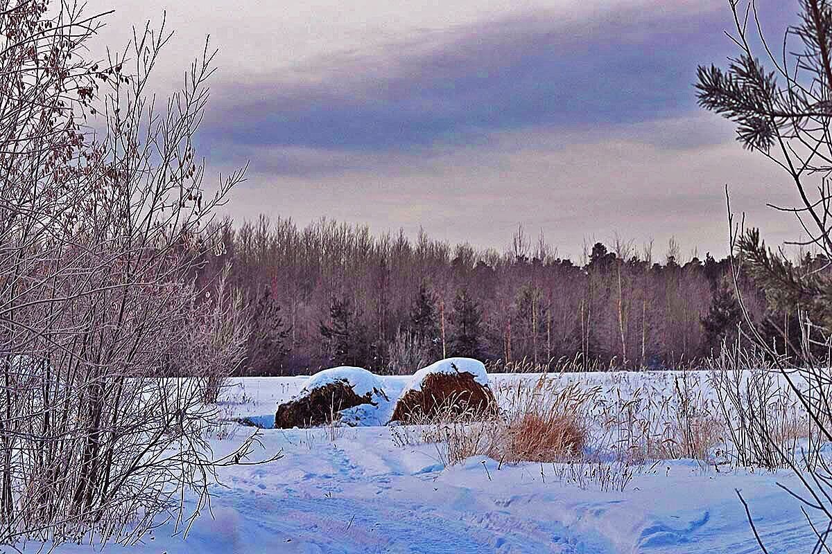 Декабрь...Стожки! - Владимир 