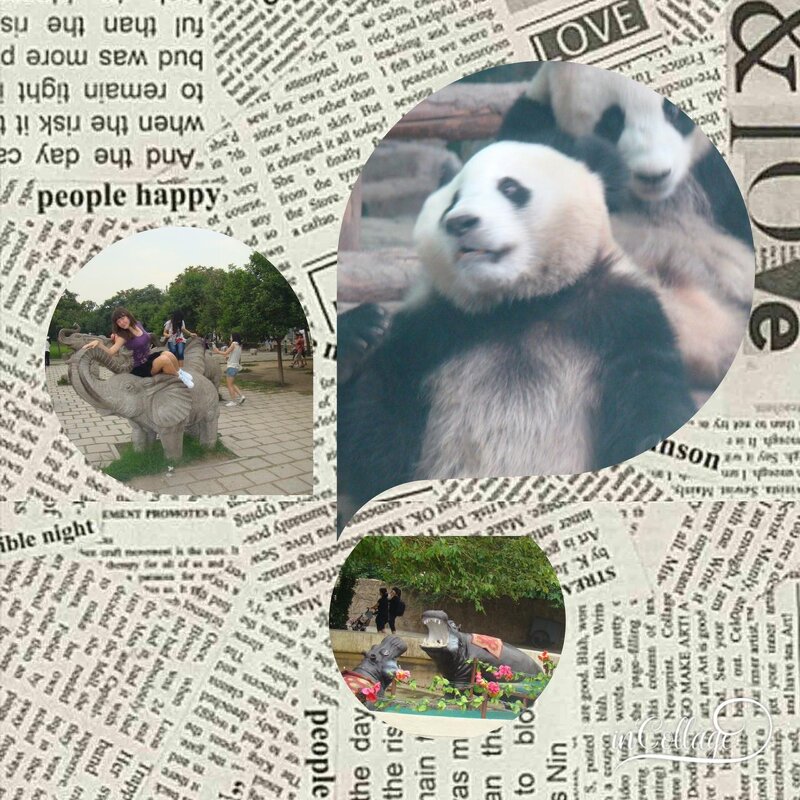 В Пекинском зоопарке - peretz 