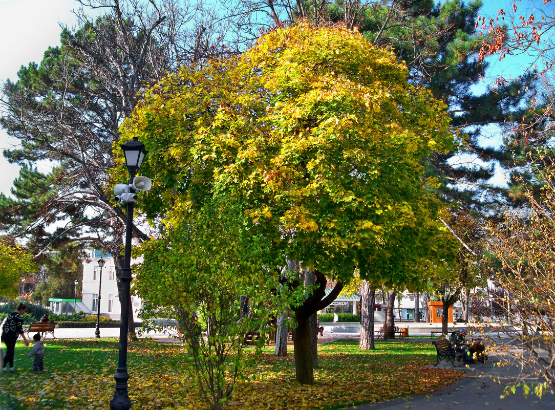 * - Валентин Семчишин