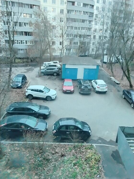 В нашем дворе в ноябре - Дмитрий Никитин