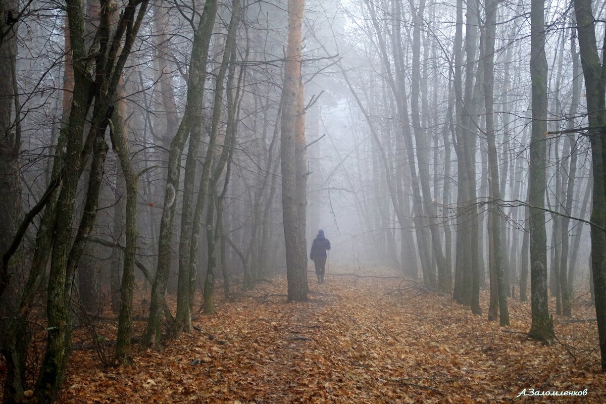 О туманных перспективах декабря... - Андрей Заломленков