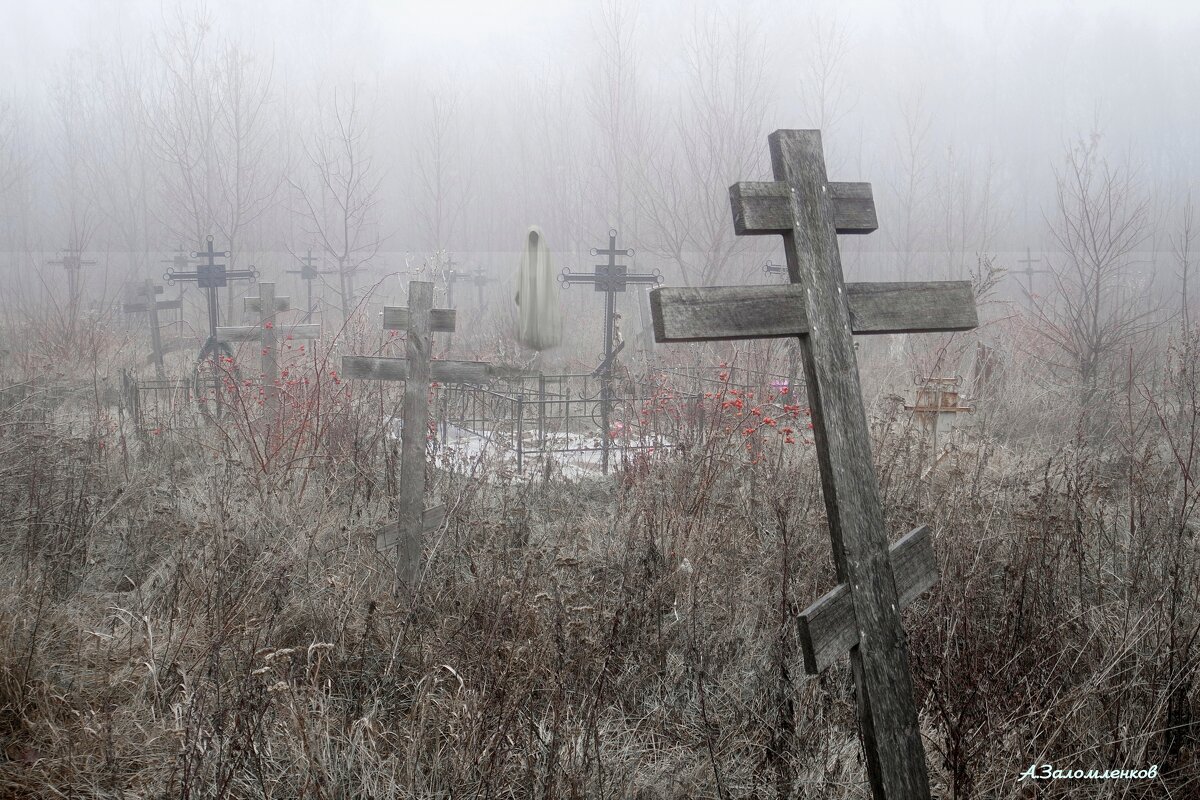 На заброшенных российских погостах... - Андрей Заломленков На заброшенных российских погостах... - Андрей Заломленков