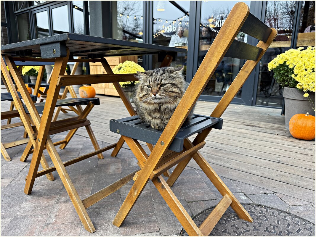 Первый посетитель.кафе.:) - Валерия Комова