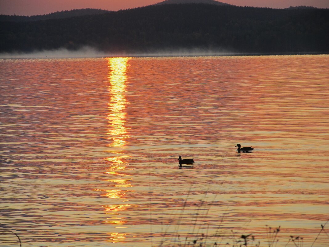озеро Таватуй - Елена Шаламова