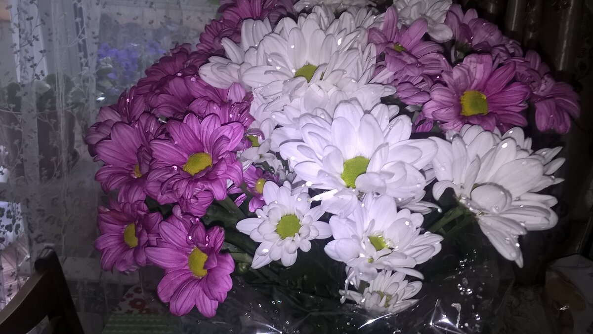 ВСЕМ МАМАМ ПОСВЯЩАЕТСЯ! - Елена Семигина