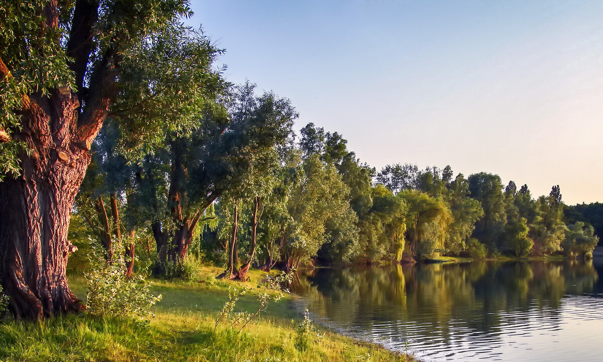 **** - Андроник Александр 