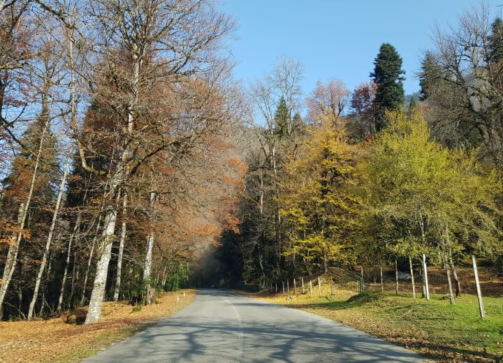 АБХАЗИЯ - Tata Wolf