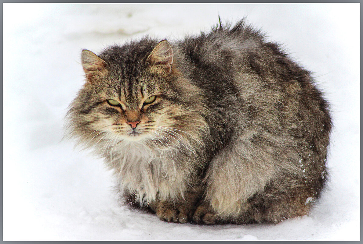 *** - Александр 