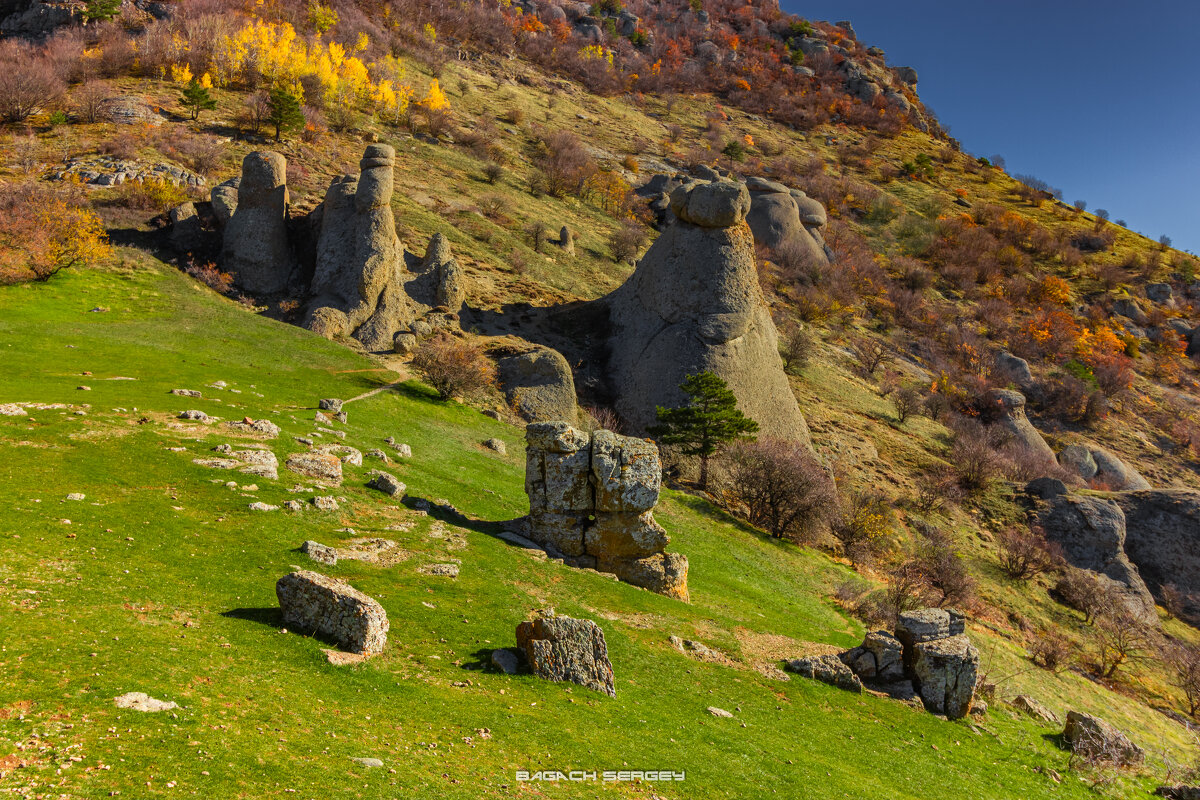 СОЛНЕЧНАЯ ПОЛЯНА - Sergey Bagach