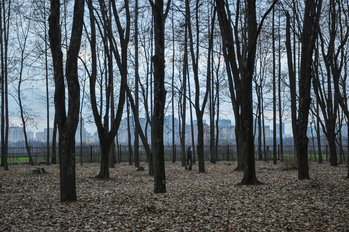 Прощание с осенью - Татьяна Машошина