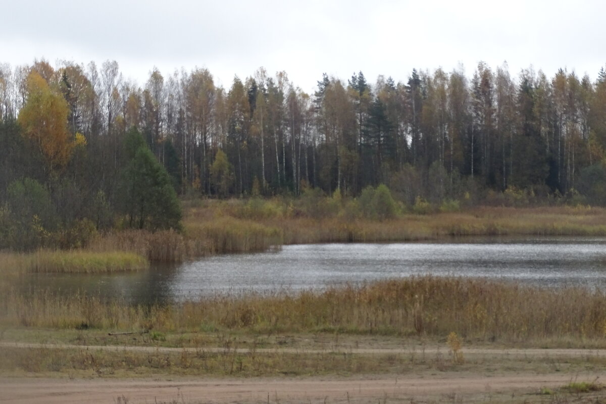Иногда хочется гулять по лесу - Anna-Sabina Anna-Sabina Иногда хочется гулять по лесу - Anna-Sabina Anna-Sabina