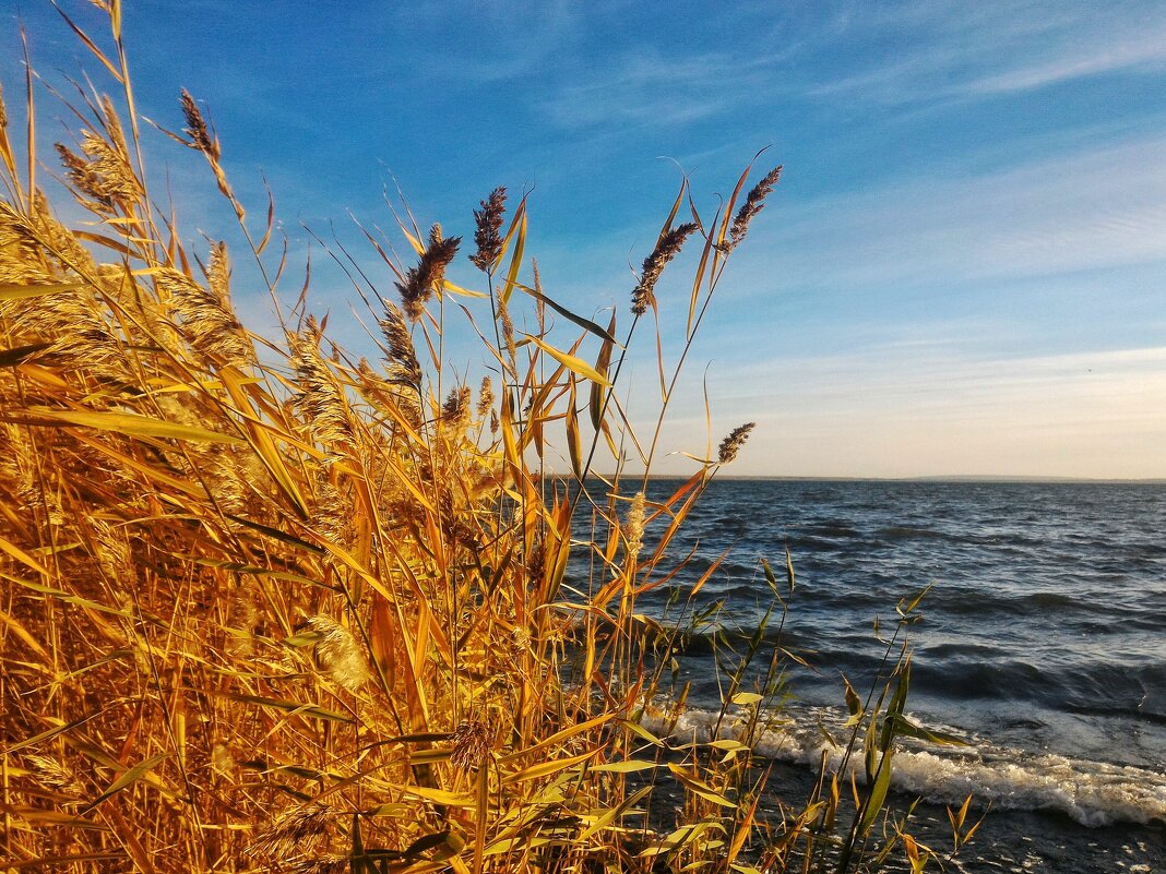 Снова осень - Hope 