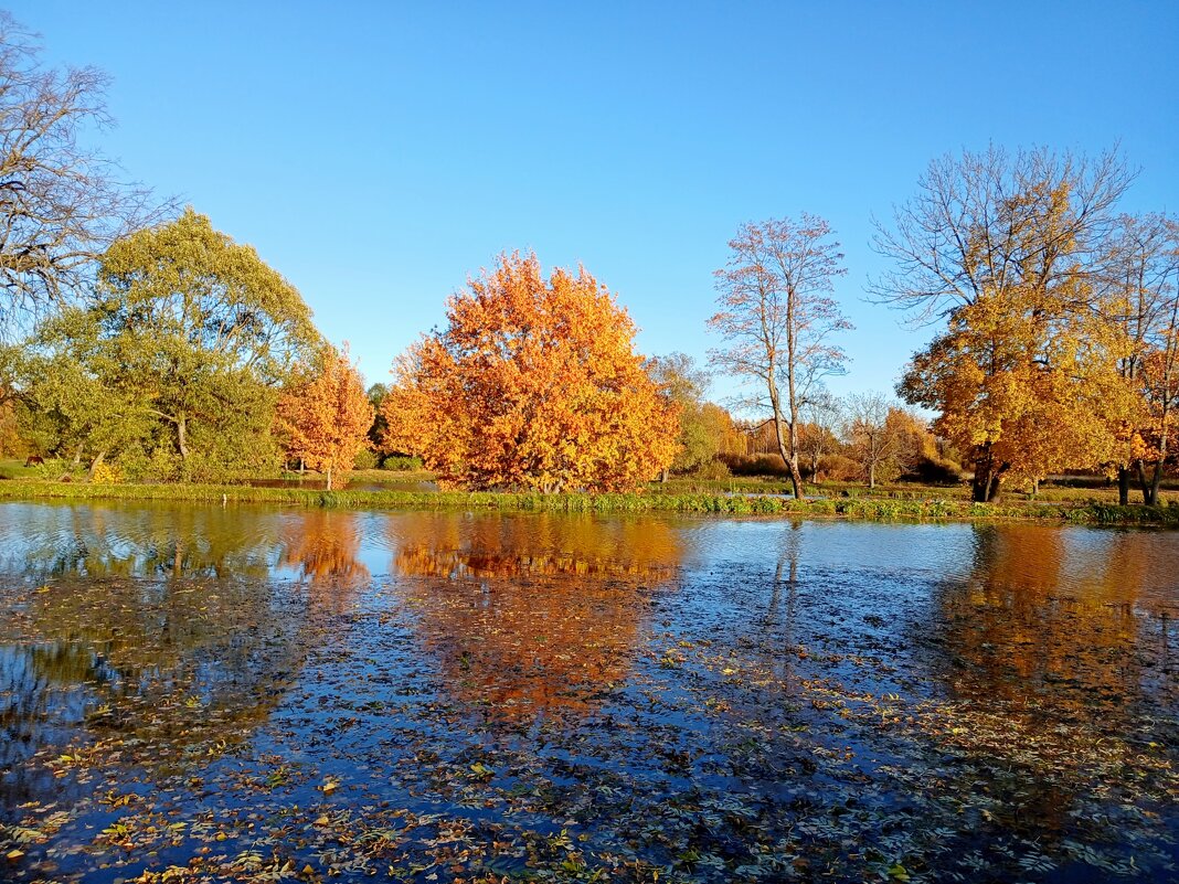 До свидания осень! - Лия ☼