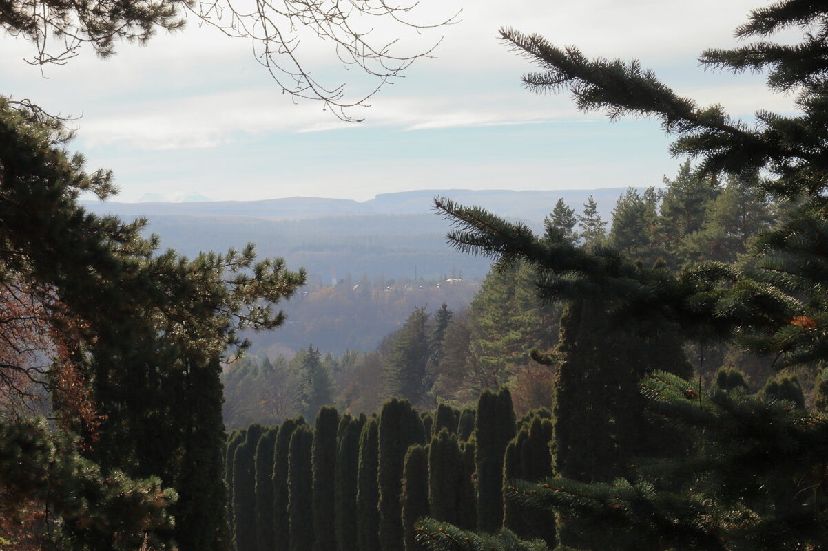 Вид из Кисловодского национального парка. - Александр Николаев