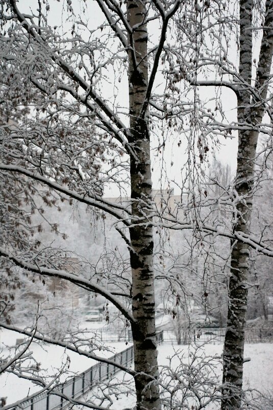 Ноябрь из окна - Наталья Герасимова