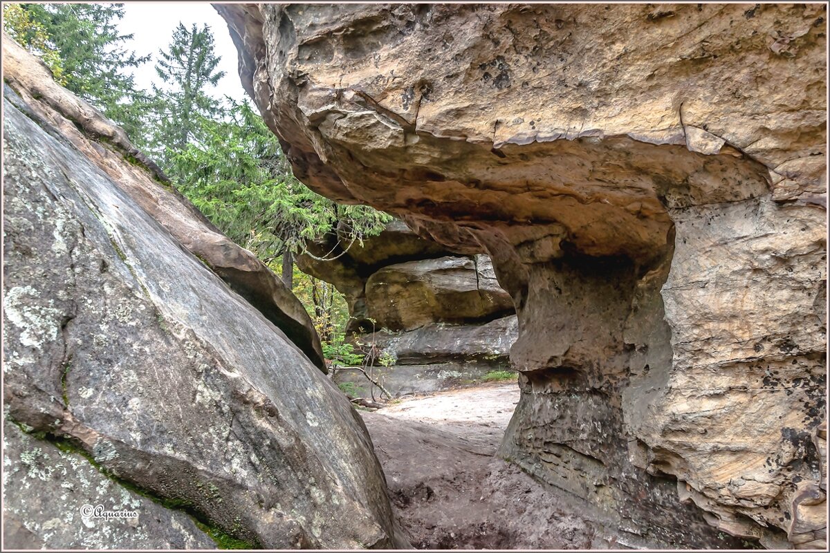 Каменный город (Чёртово Городище, Черепахи) - Aquarius - Сергей