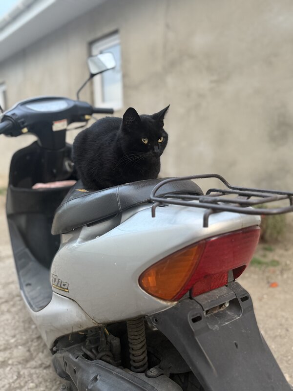 Угонщица. - Валентина .