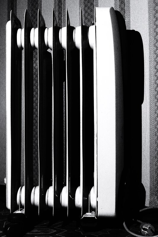 * - Василий Палий