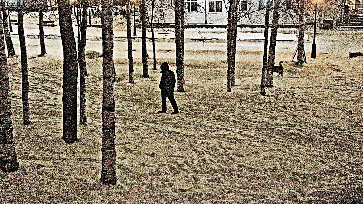 Последнее утро ноября-25! - Владимир 