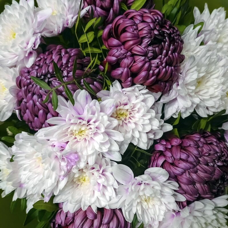 Букет хризантем - Валерий Иванович