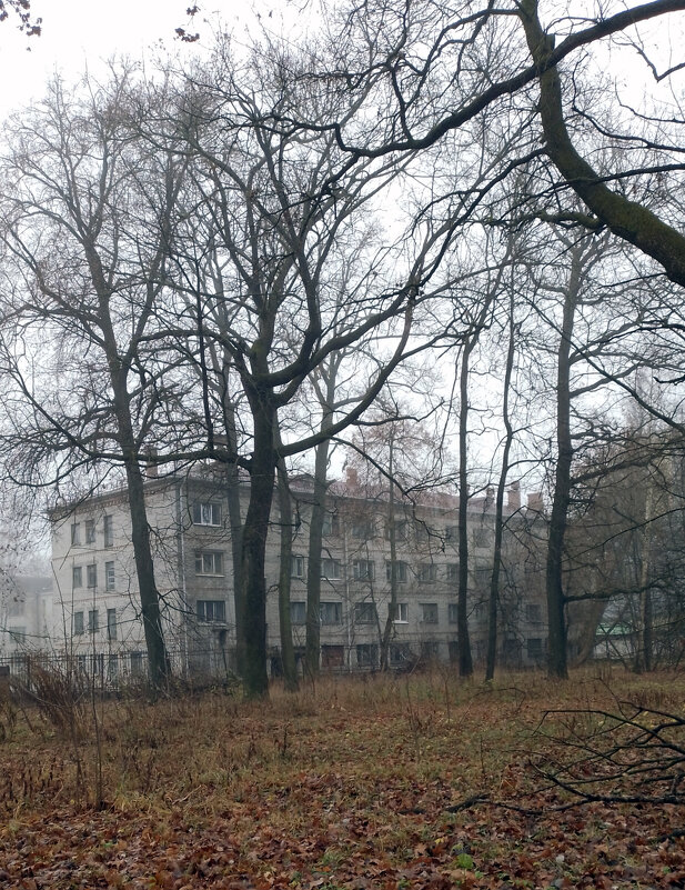 *** - Валентина Береснева