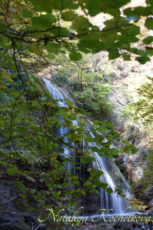 Природа Крыма - Amazing Cosmea