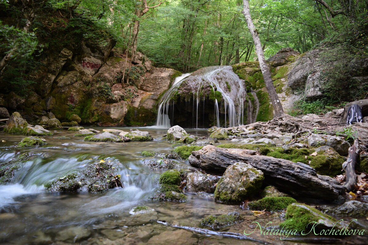 Природа Крыма - Amazing Cosmea