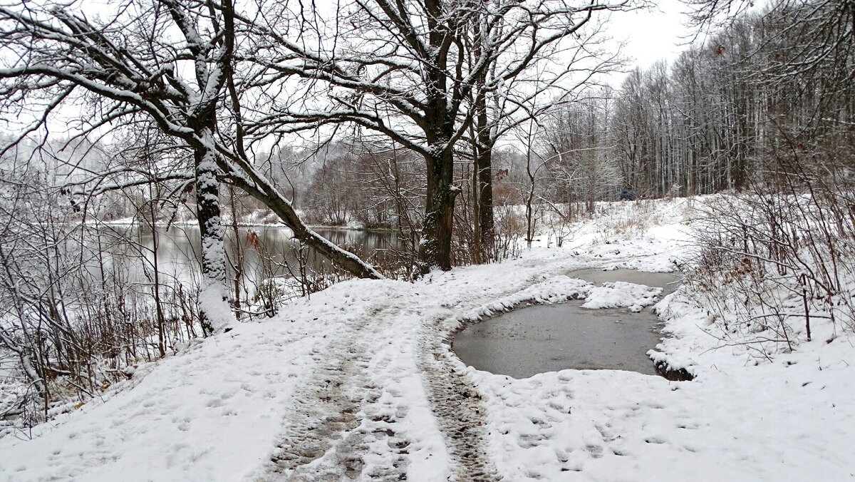 Смоленская область в конце ноября. - Милешкин Владимир Алексеевич 