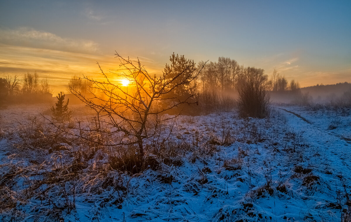Вечер Ноября 9 - Андрей Дворников