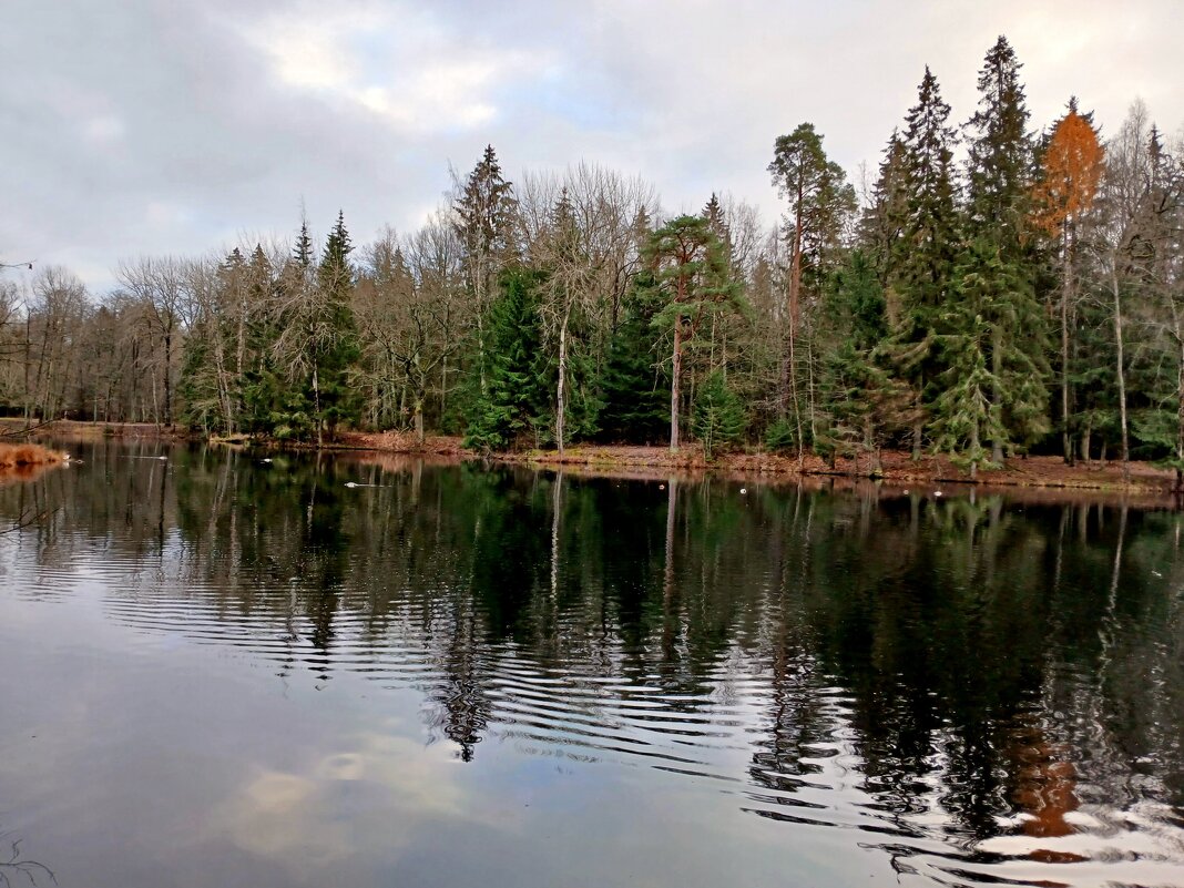 Осенние отражения. - Лия ☼