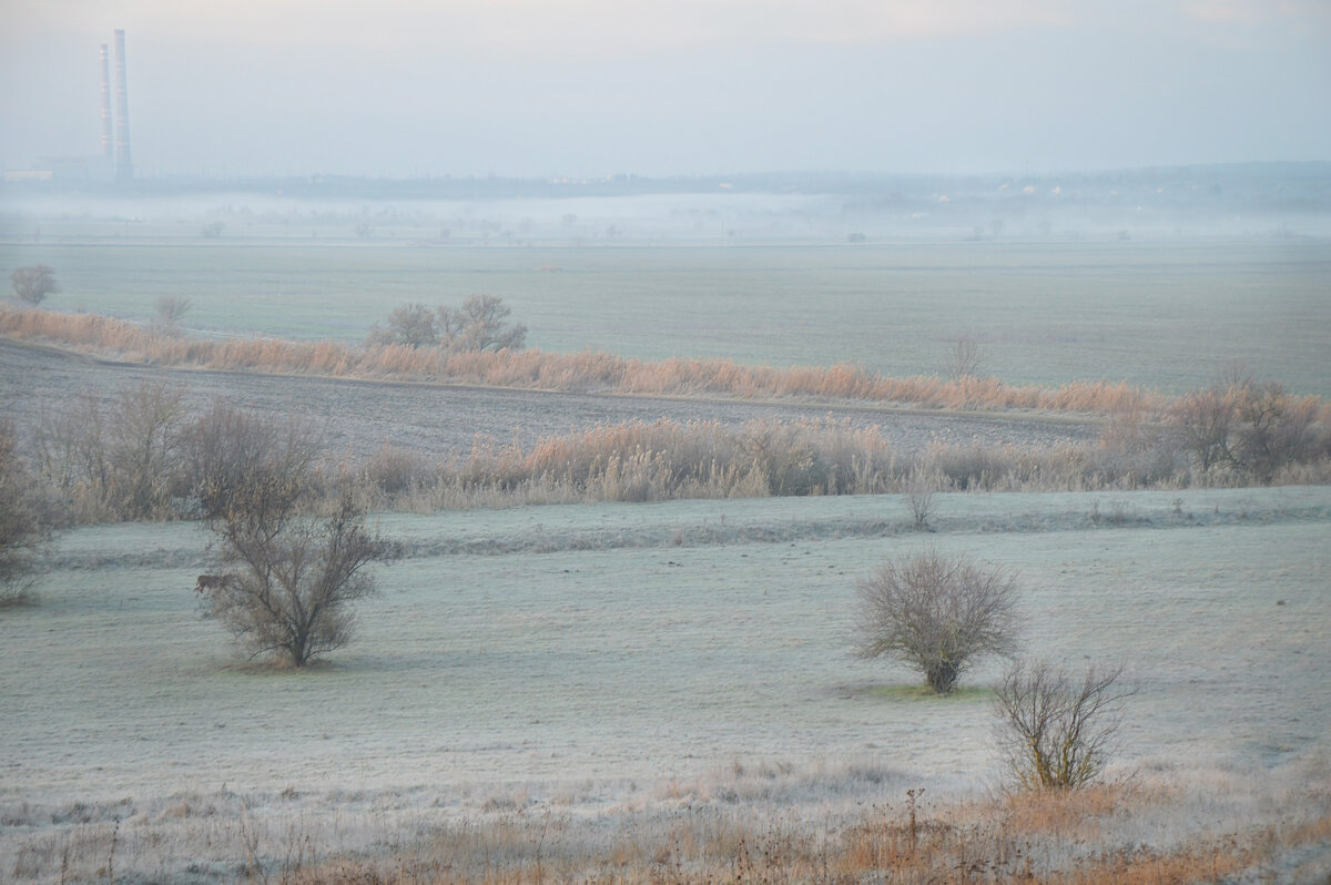 Морозное  утро ноябрьской поры… над полем – рассветная пудра... - Надежда Куркина 