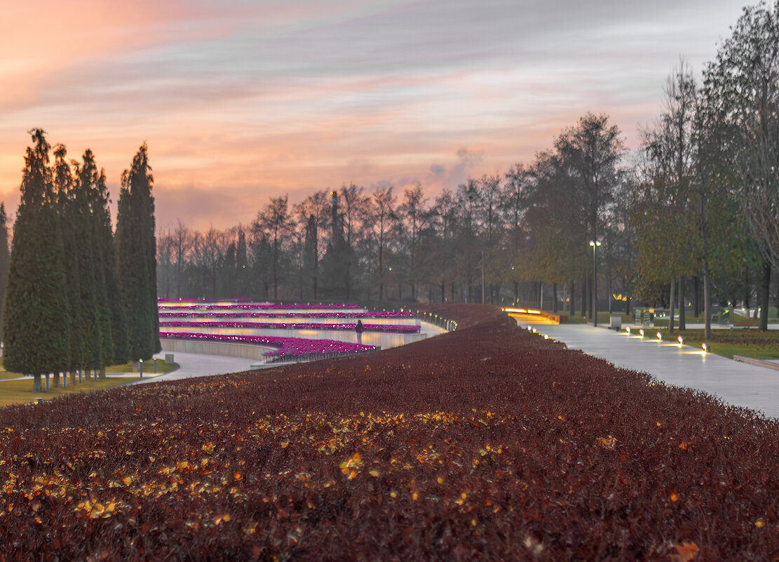 *** - Игорь Протасов