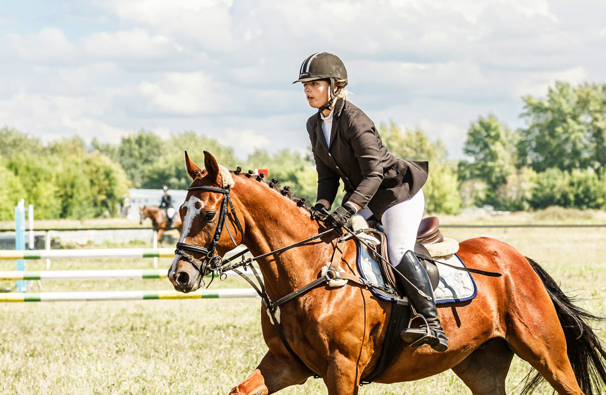 Конкур - SanSan 