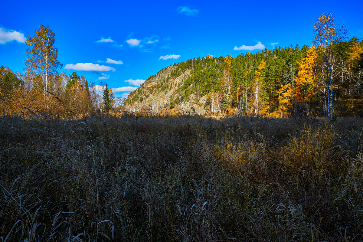 Утро солнечного октября. - Юрий кот