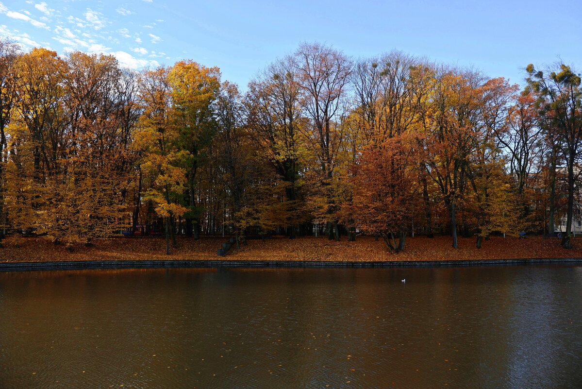 Зоологический пруд - Сергей Карачин