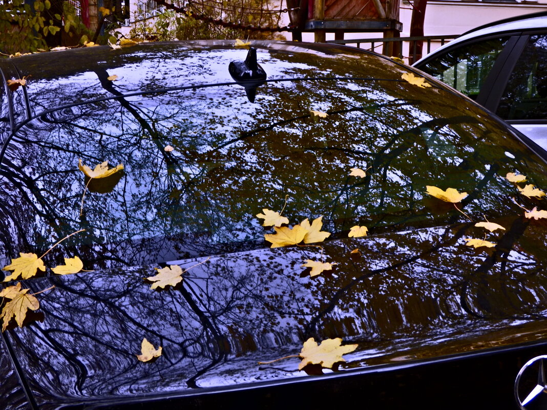 Осень 68 - Алексей Кузнецов