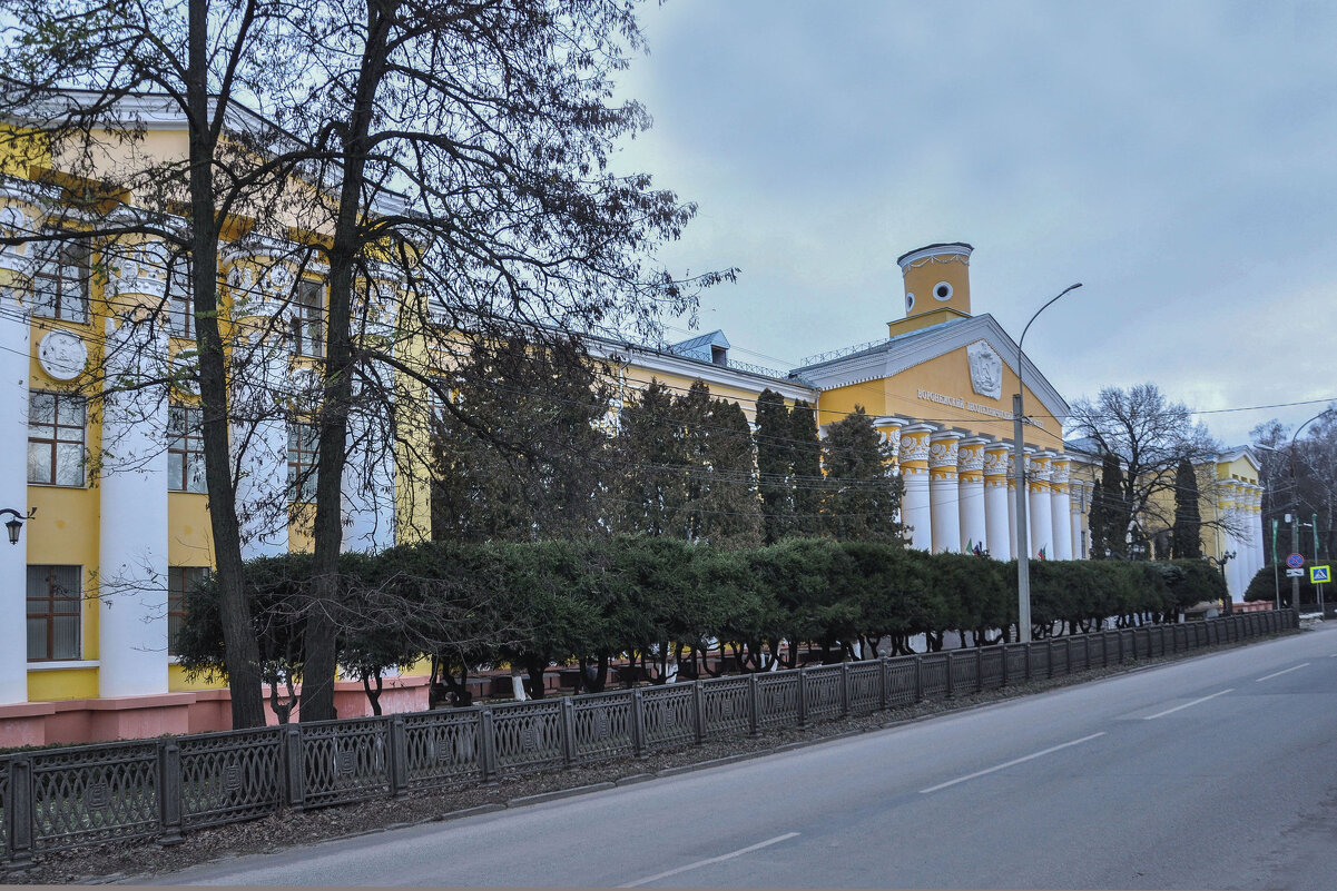 Воронежский Лесотехнический университет - Татьяна Машошина