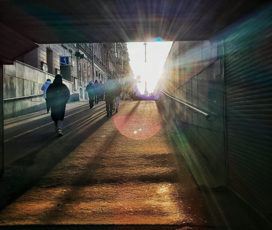 Невский проспект - Виктория Поликарпова