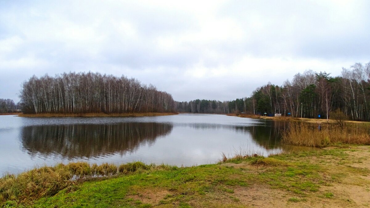 Природа Смоленщины за два дня до календарной зимы. - Милешкин Владимир Алексеевич 