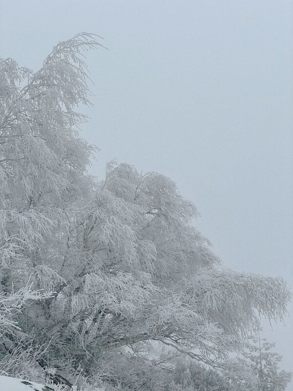 Уголок в горах - Георгиевич 