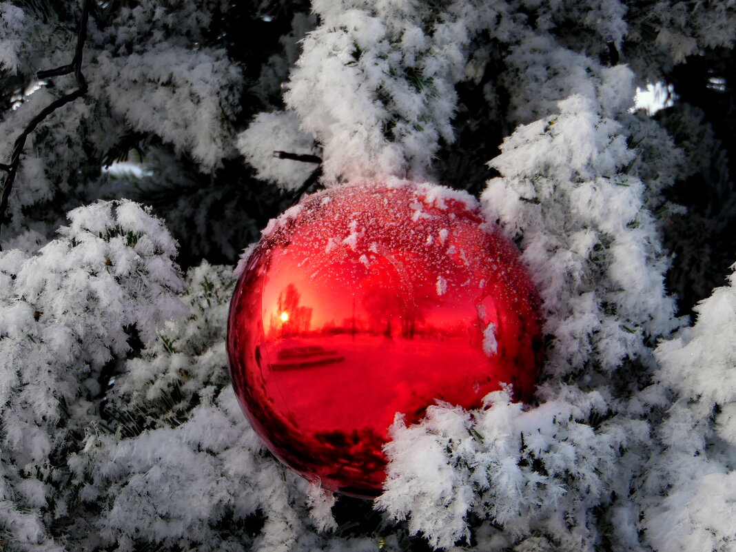 Просто шарик новогодний. - nadyasilyuk Вознюк