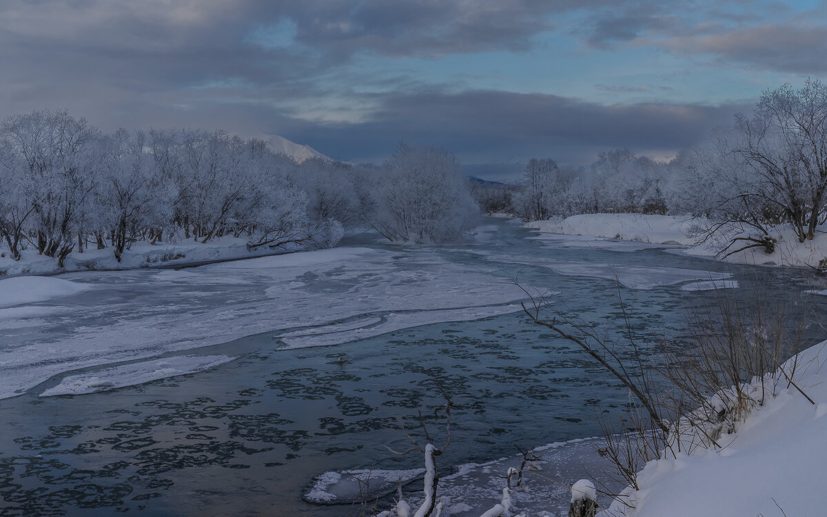 ... - Жора Житников