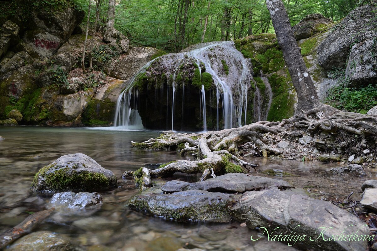 Природа Крыма - Amazing Cosmea