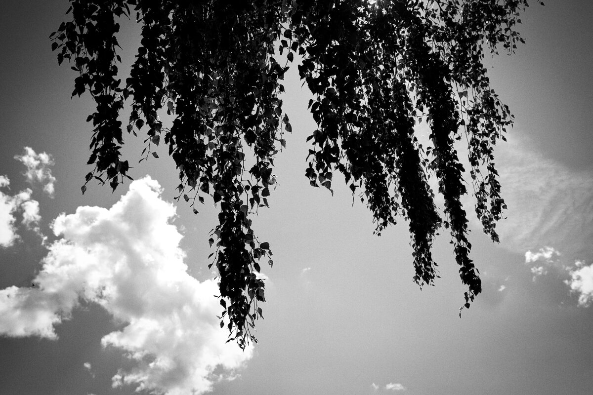 Фотография - Денис Безногов