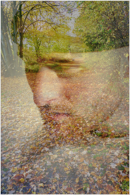 ДЫХАНИЕ ОСЕНИ... - Elvira E. 