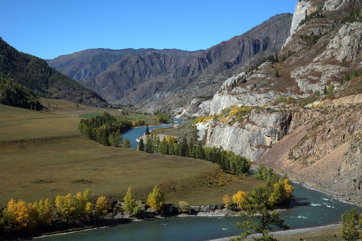 *** - владимир 